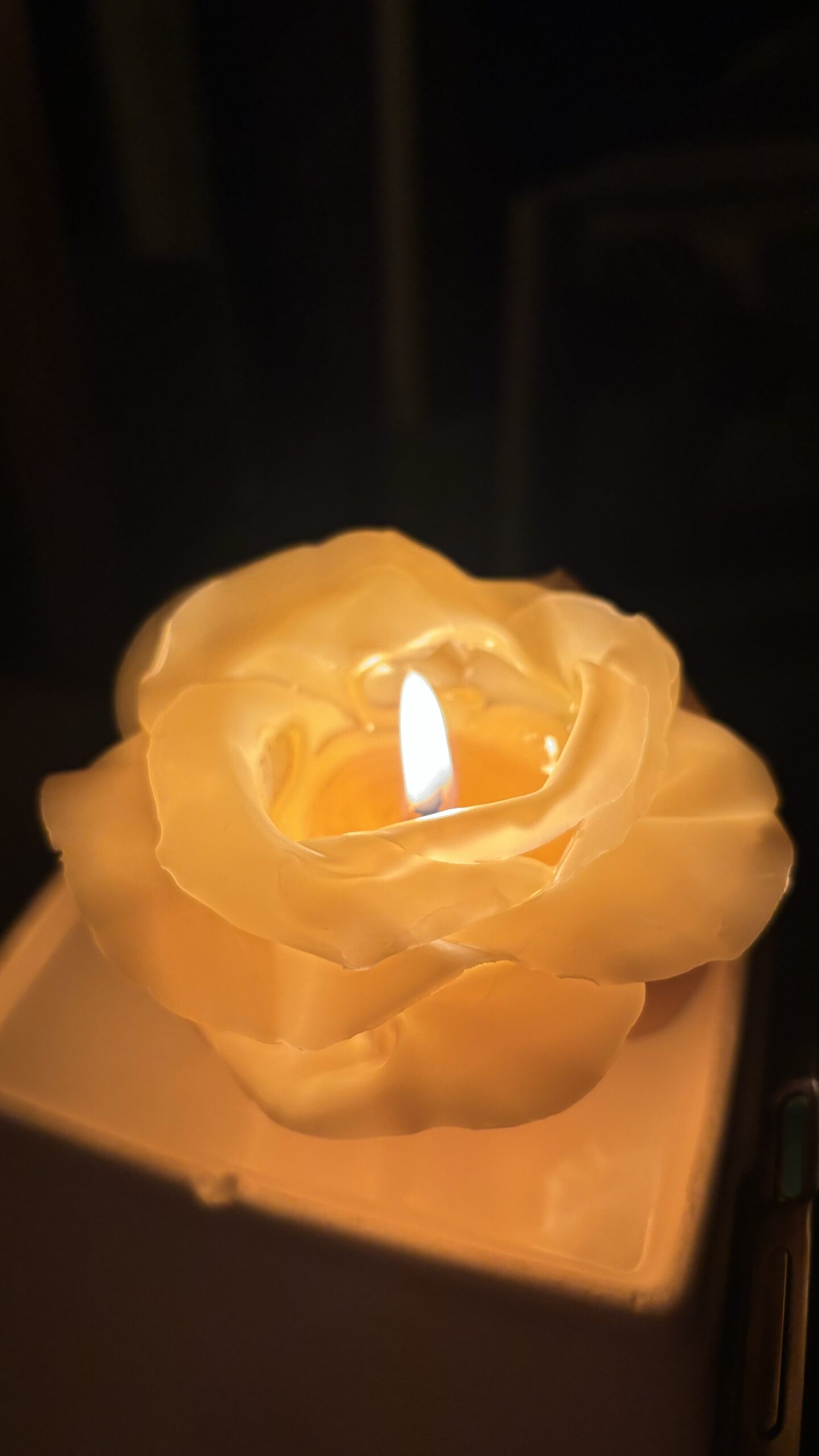 Róża 100% naturalny wosk pszczeli